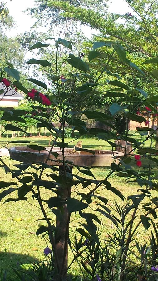 Philo Leisure Gardens Hotel Kalangala Exterior photo